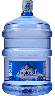 19 LT TAŞKESTİ