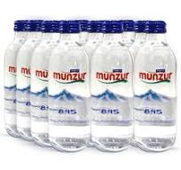 MUNZUR 0.33 LT CAM ŞİŞE